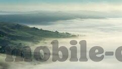 足球比分网网易-深度剖析，网易足球比分网——球迷的掌上数据宝库与赛事导航灯